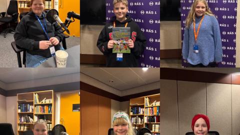 Icelandic National Broadcasting Service (RÚV)